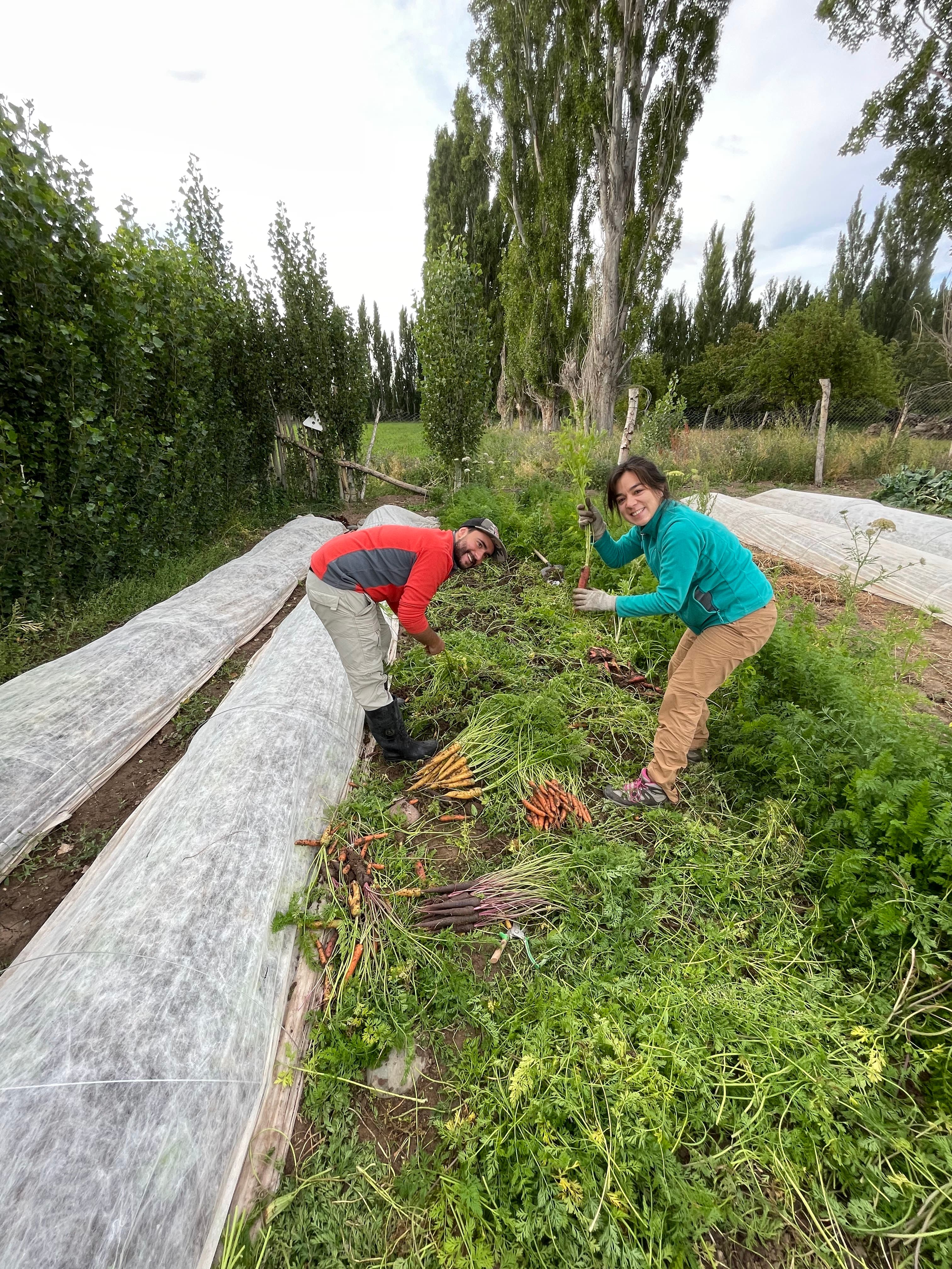 Voluntarios en Huerto Río Jeinimeni